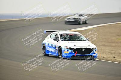 media/Jan-26-2025-CalClub SCCA (Sun) [[cfcea7df88]]/Group 5/Race/